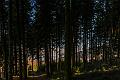 2015_12_22 (0006)